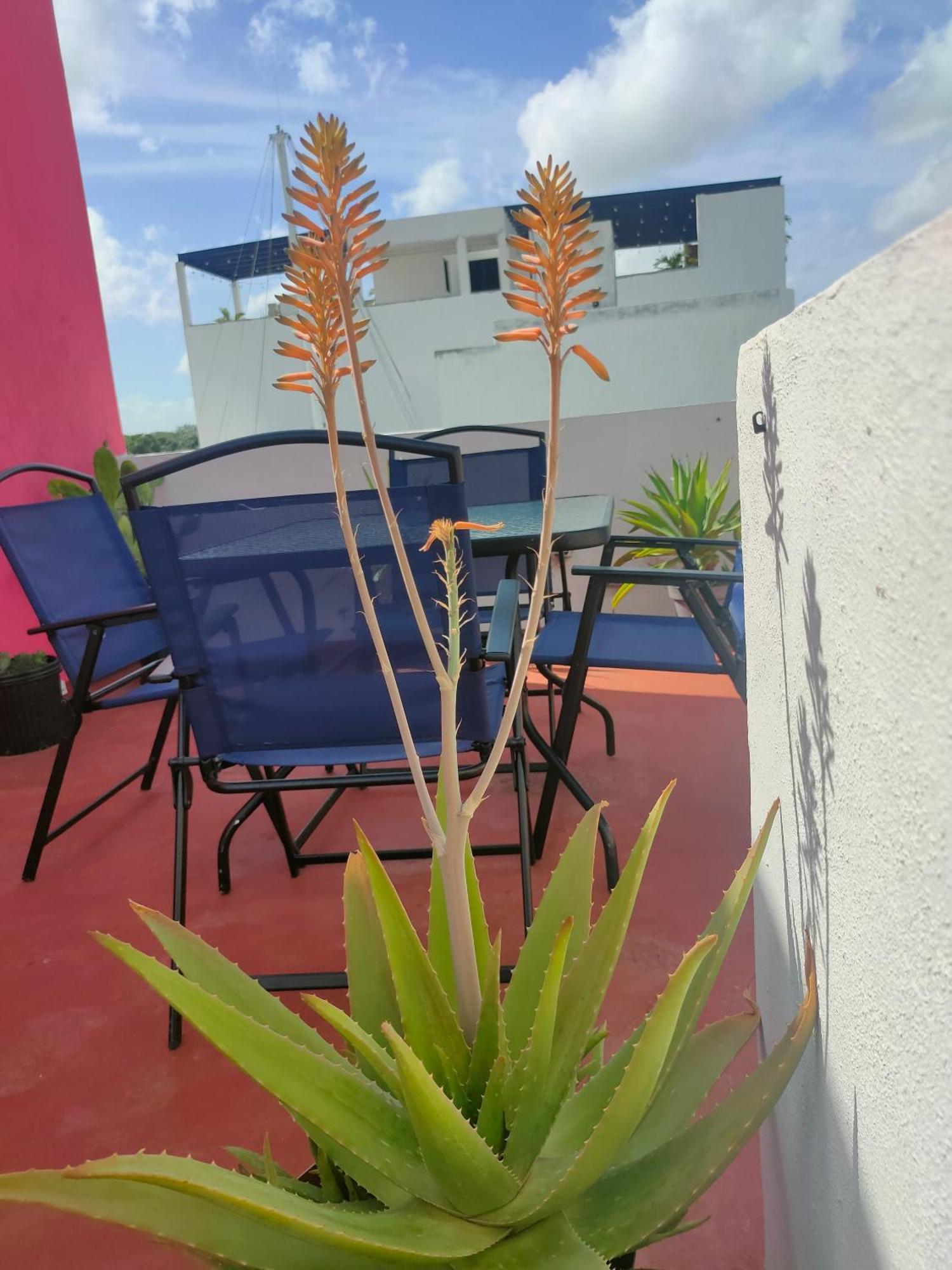 Casa Coraza Cancún Exterior foto